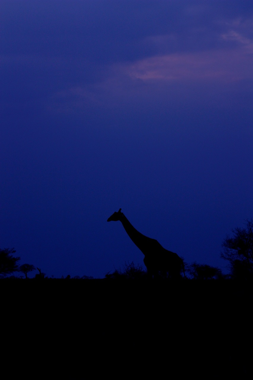 5月梁游最新動態,五月梁游新動態,探索未知,啟程新的冒險之旅